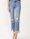 Lovervet High Rise Distressed Straight Jeans