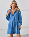 Button Up Flounce Sleeve Mini Denim Dress
