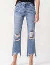Lovervet High Rise Distressed Straight Jeans