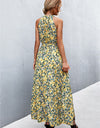 Printed Sleeveless Tie Waist Maxi Dress