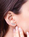 All You Need Moissanite Platinum-Plated Earrings